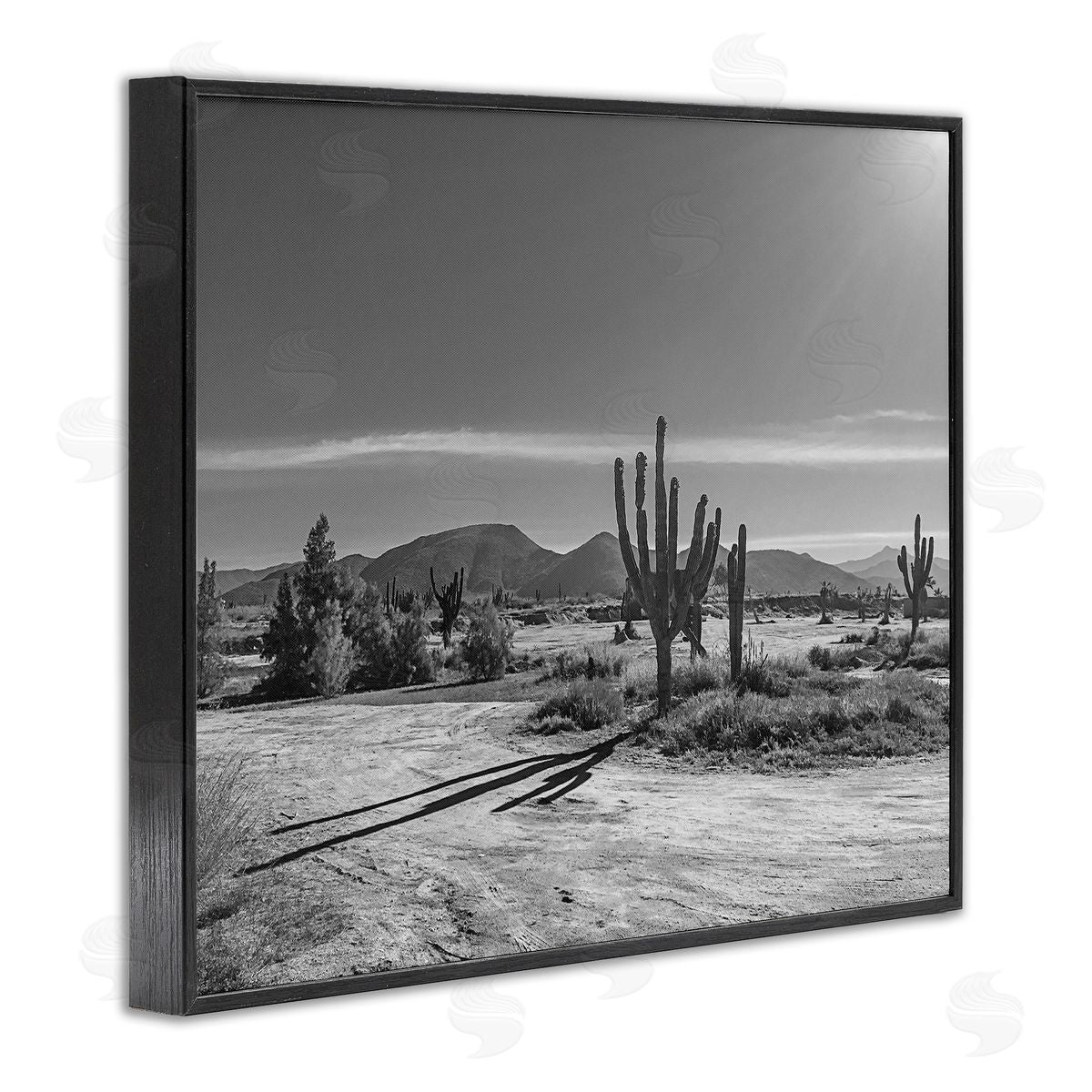 Norm Stelfox Sunlit Cactus Valley Canvas Wall Art Print