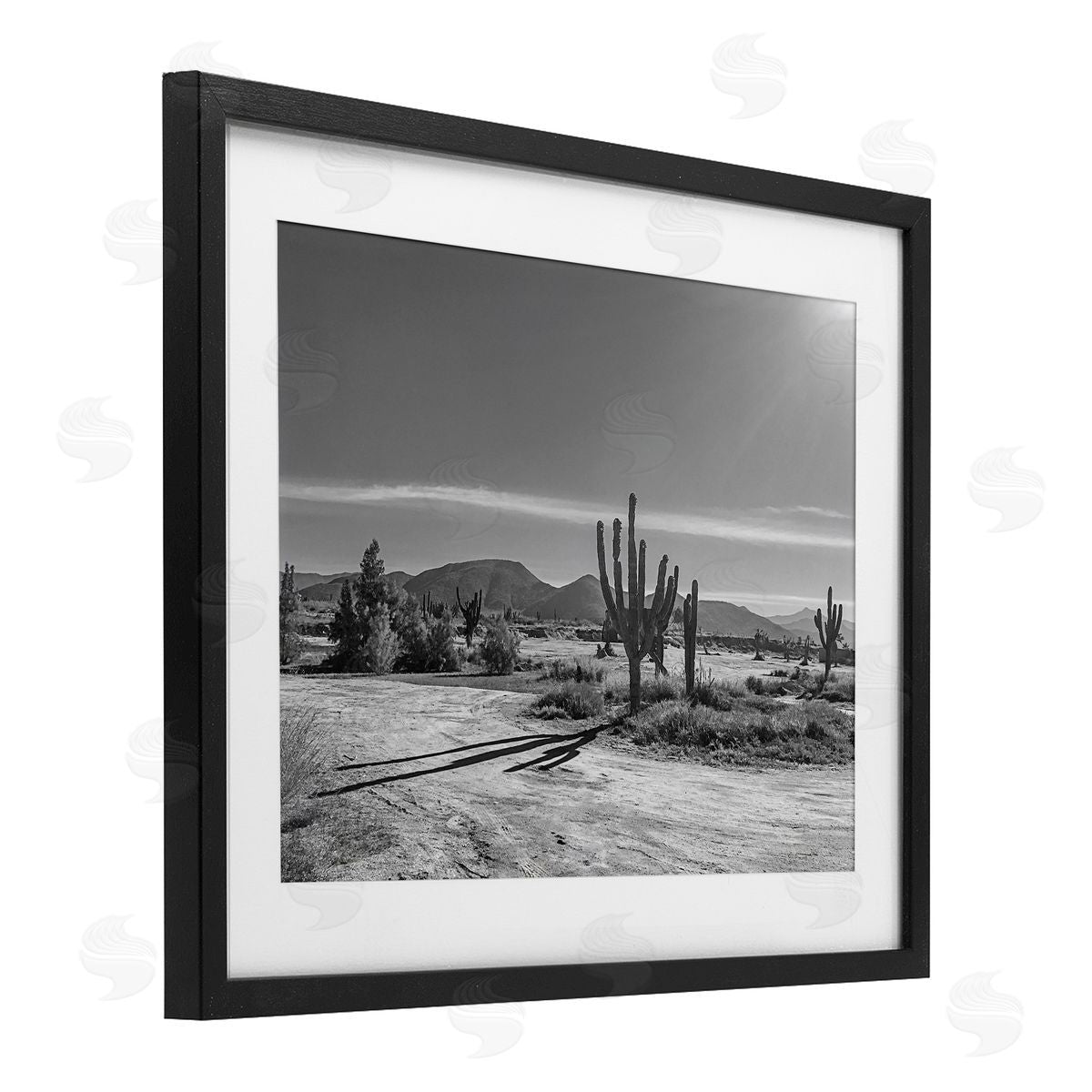 Norm Stelfox Sunlit Cactus Valley Canvas Wall Art Print