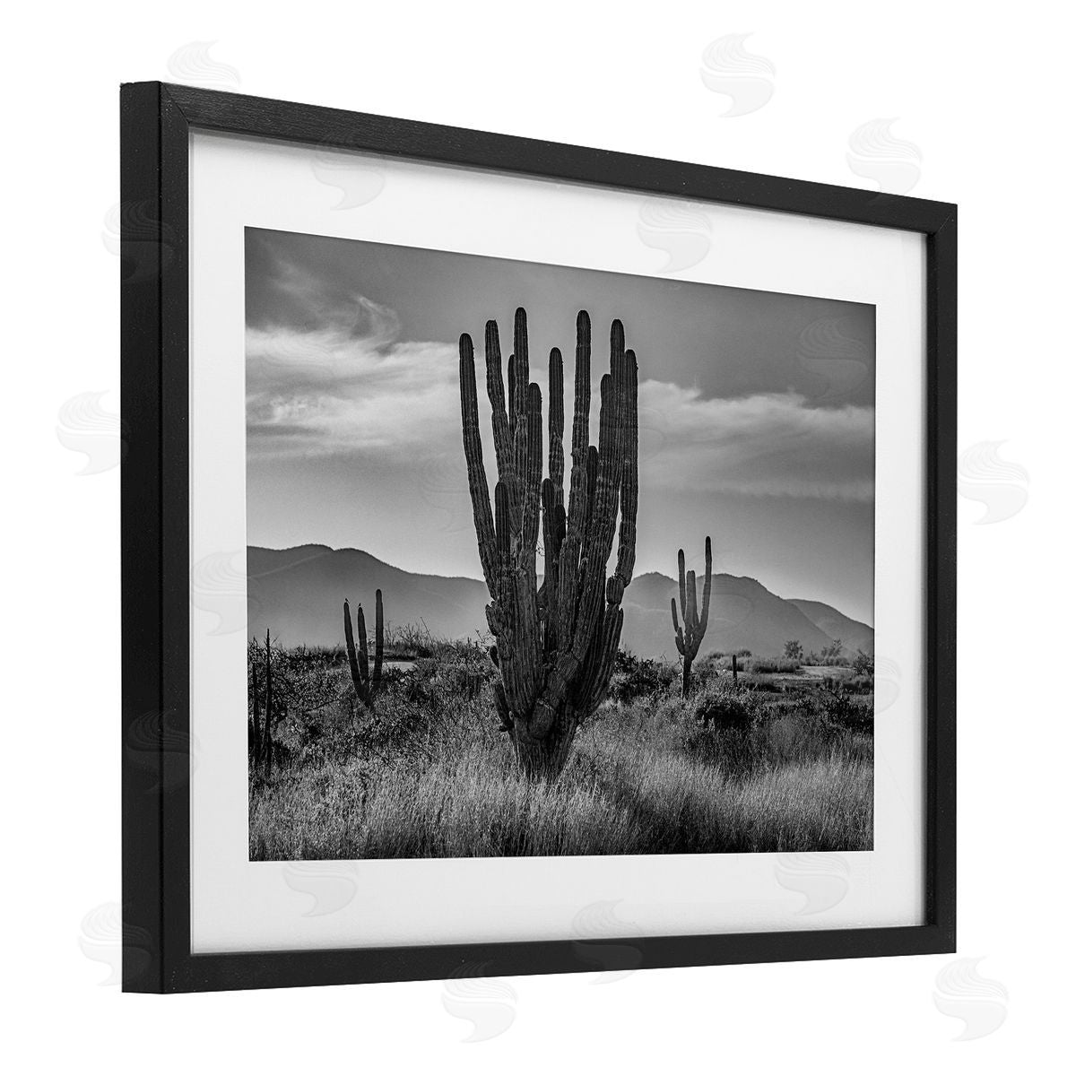 Norm Stelfox Cactus Sunset in Monochrome Canvas Wall Art Print