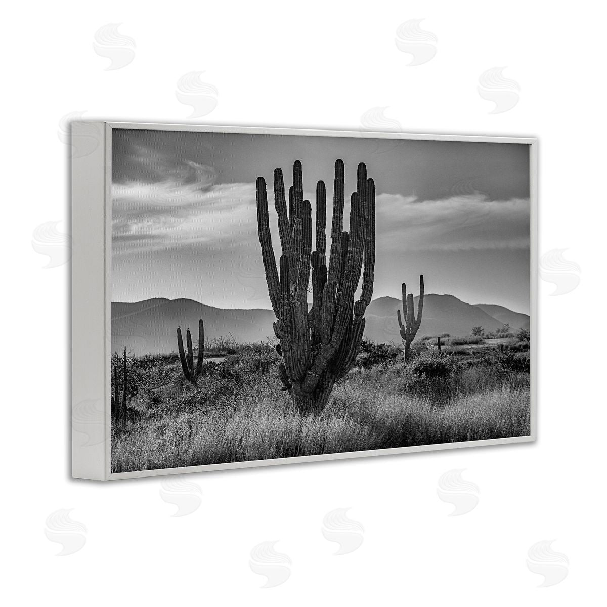 Norm Stelfox Cactus Sunset in Monochrome Canvas Wall Art Print