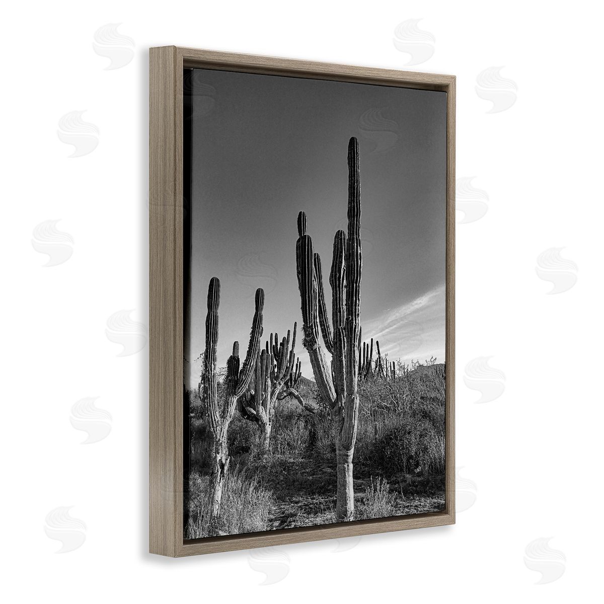 Norm Stelfox Cactus Field & Vast Sky Canvas Wall Art Print