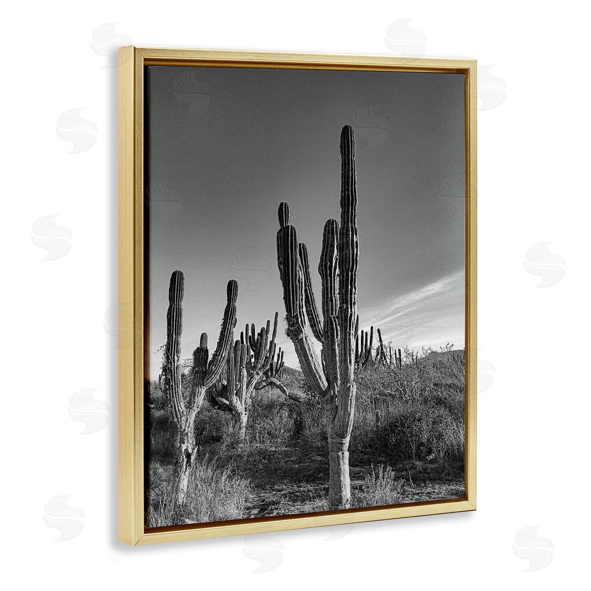Norm Stelfox Cactus Field & Vast Sky Canvas Wall Art Print