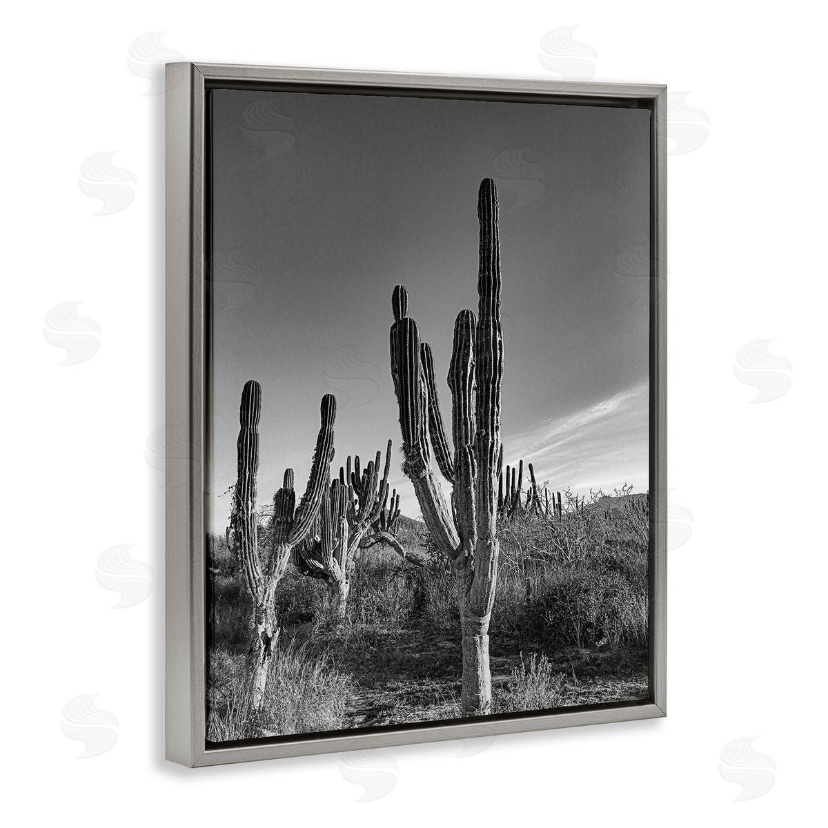 Norm Stelfox Cactus Field & Vast Sky Canvas Wall Art Print