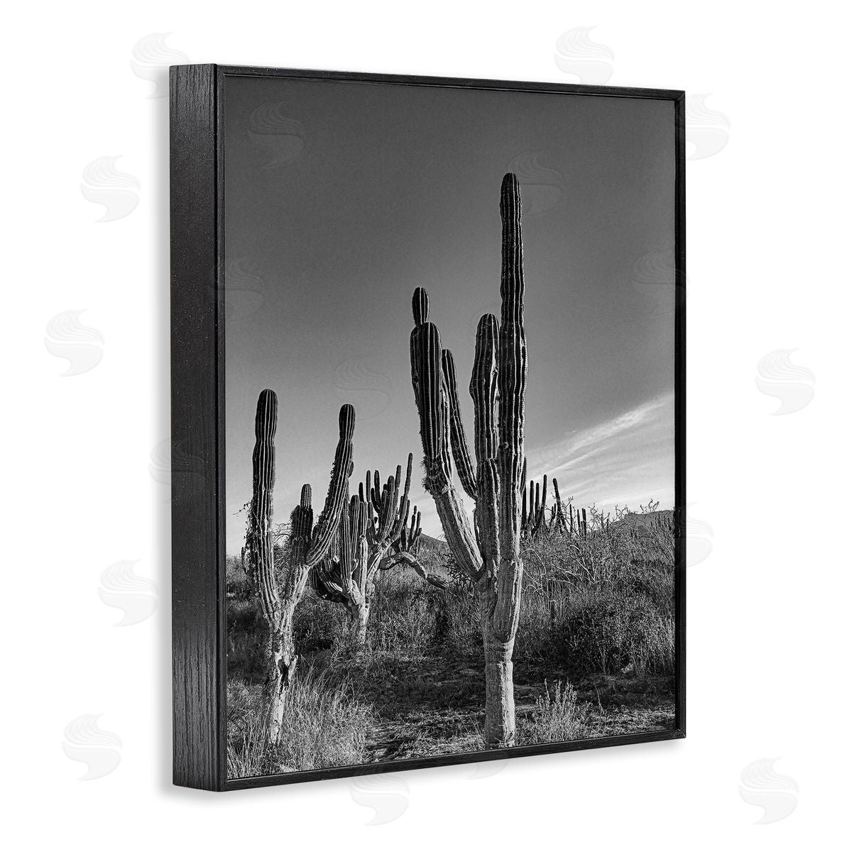 Norm Stelfox Cactus Field & Vast Sky Canvas Wall Art Print