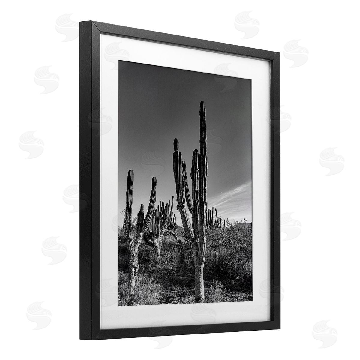 Norm Stelfox Cactus Field & Vast Sky Canvas Wall Art Print