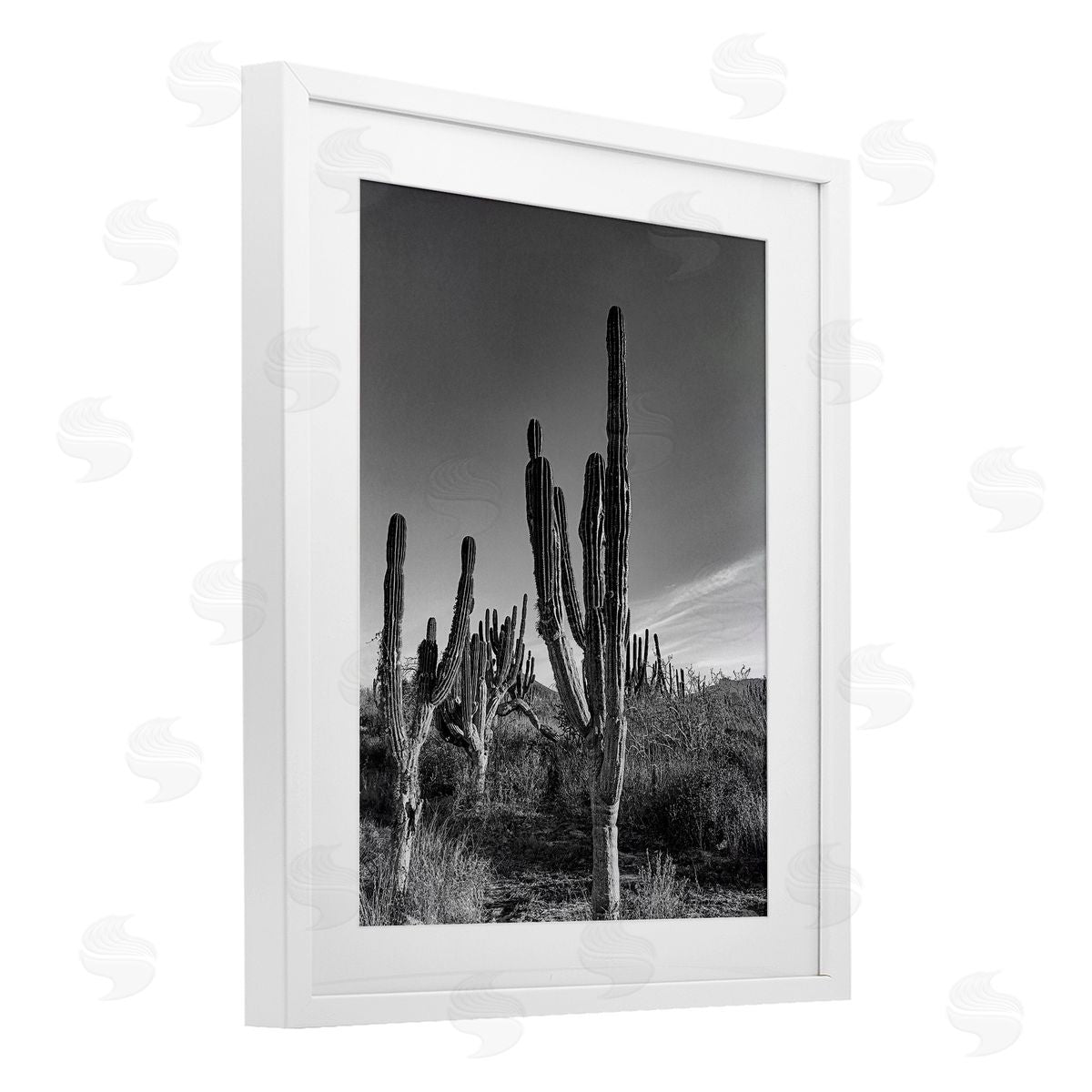 Norm Stelfox Cactus Field & Vast Sky Canvas Wall Art Print