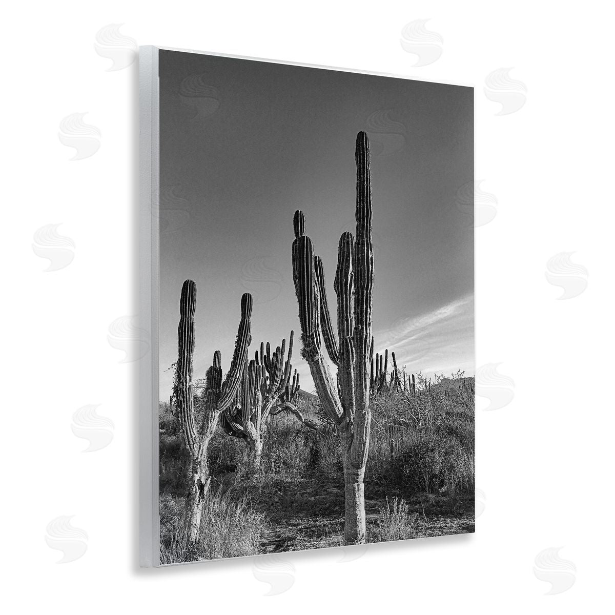 Norm Stelfox Cactus Field & Vast Sky Canvas Wall Art Print