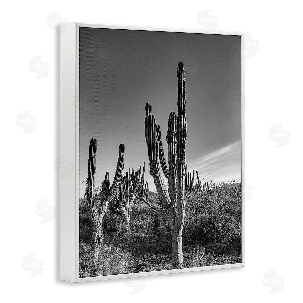 Norm Stelfox Cactus Field & Vast Sky Canvas Wall Art Print