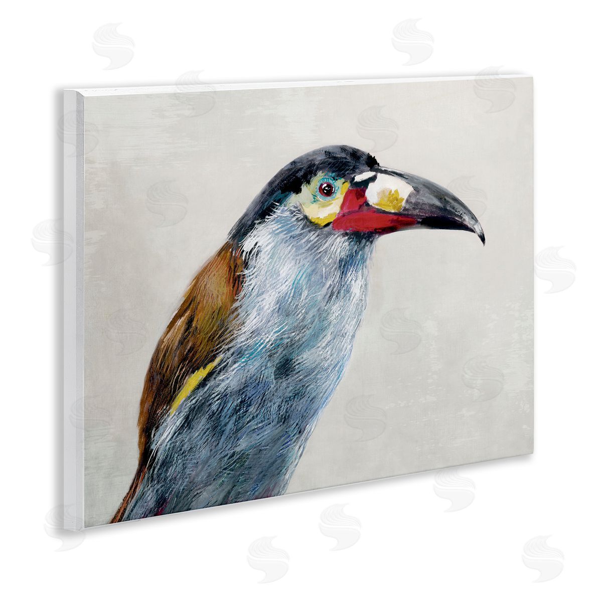 Jacob Q Black Billed Mountain Toucan Canvas Wall Art Print