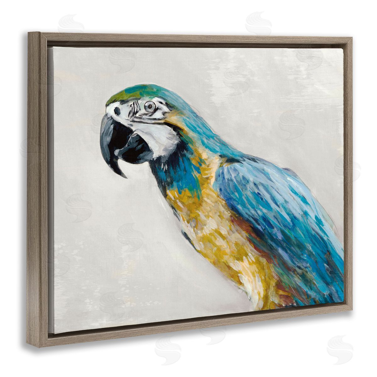 Jacob Q Polly Parrot Portrait Canvas Wall Art Print