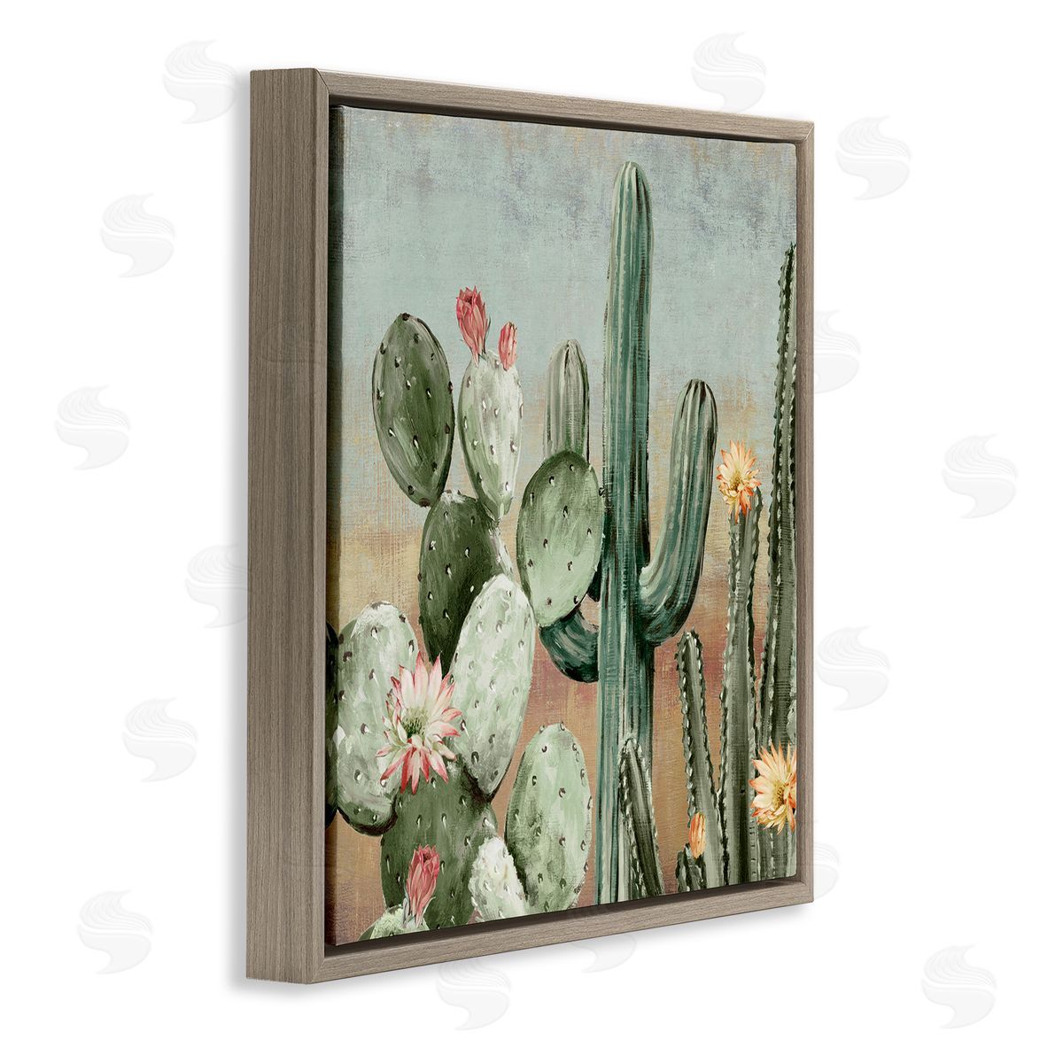 Luna Mavis Cacti Blooms Among Thorns Canvas Wall Art Print