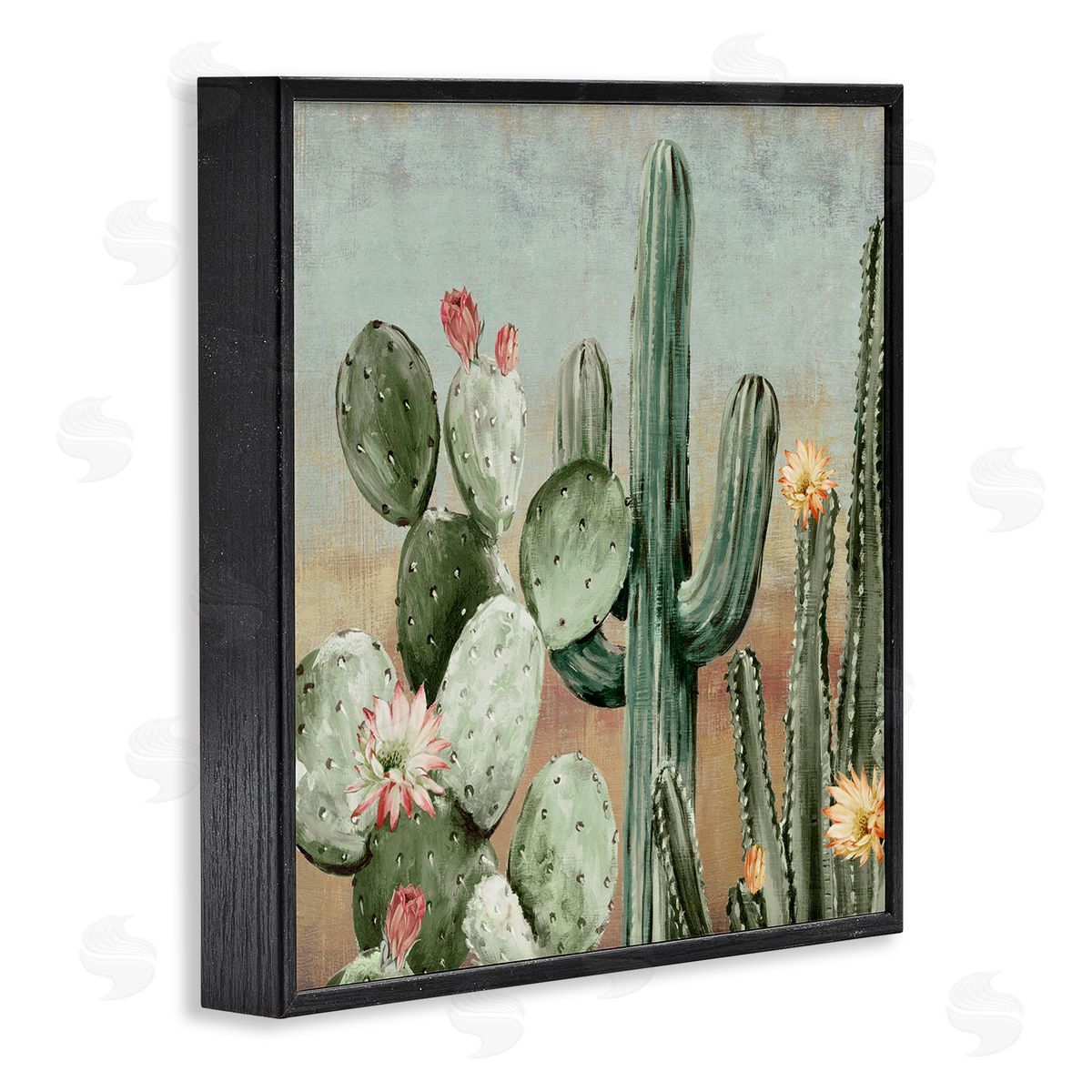 Luna Mavis Cacti Blooms Among Thorns Canvas Wall Art Print