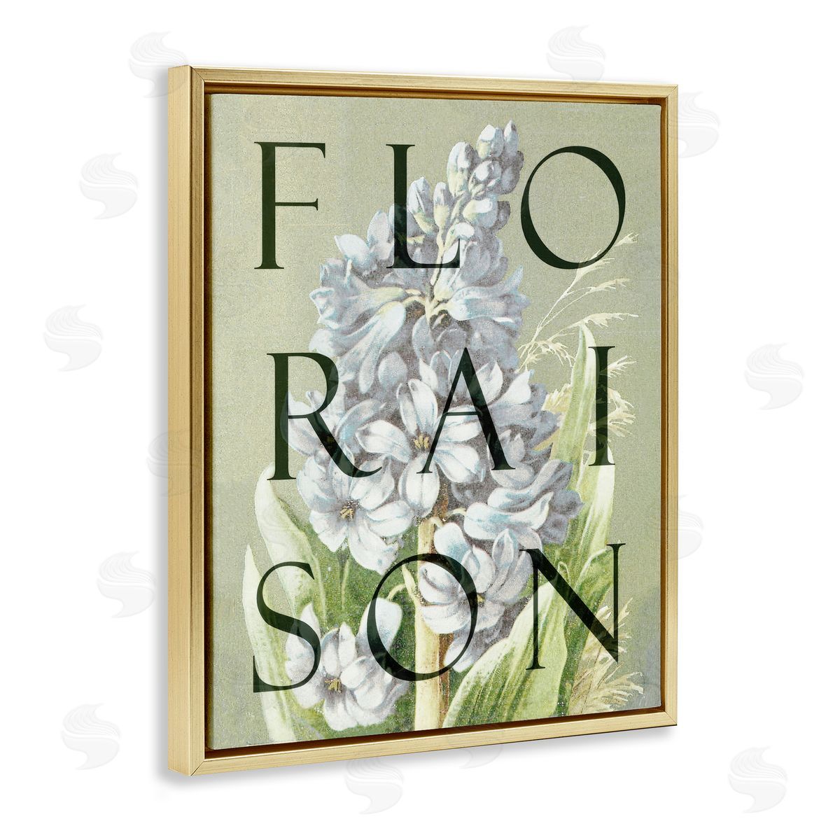 Lil' Rue Blooming French Flower Canvas Wall Art Print
