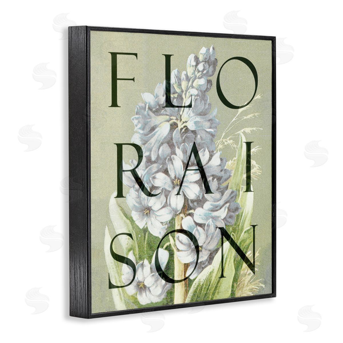 Lil' Rue Blooming French Flower Canvas Wall Art Print