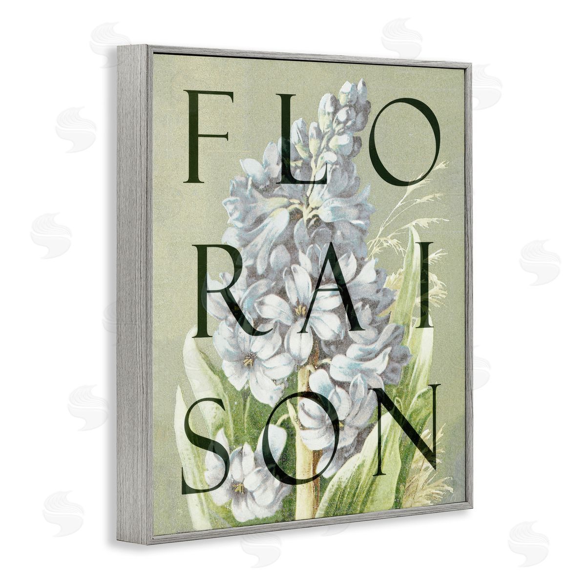 Lil' Rue Blooming French Flower Canvas Wall Art Print