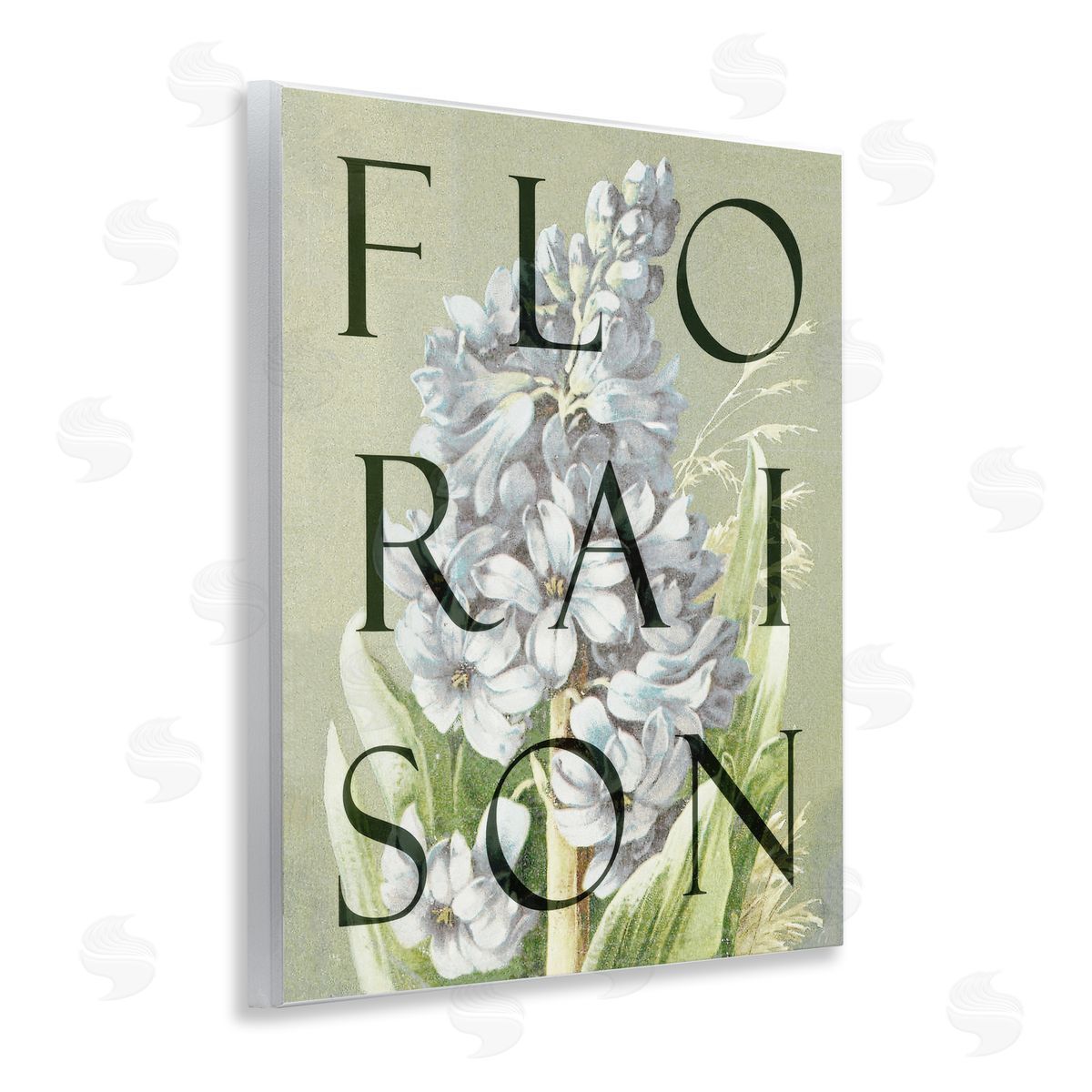 Lil' Rue Blooming French Flower Canvas Wall Art Print