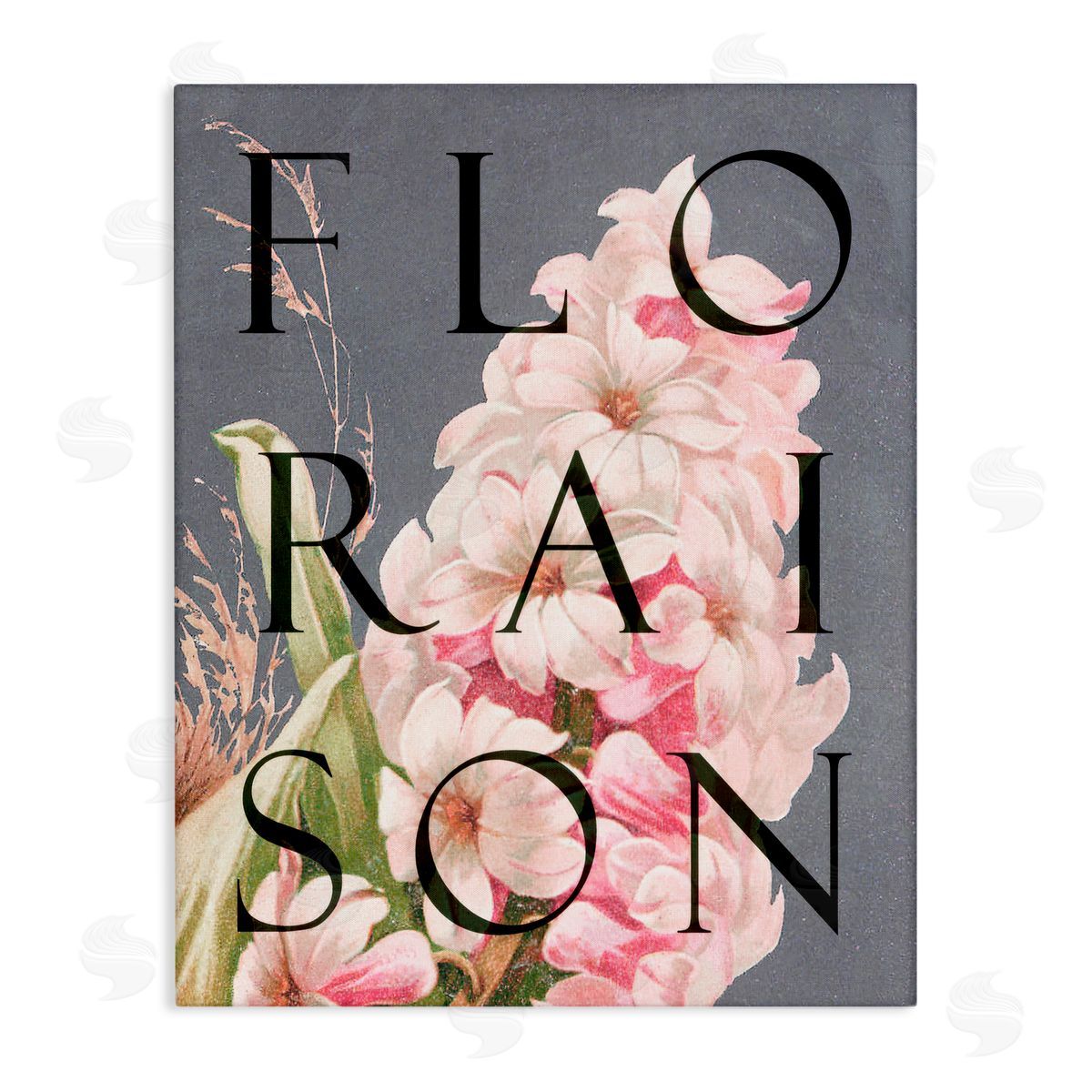 Lil' Rue Floraison Blooming Flower Canvas Wall Art Print