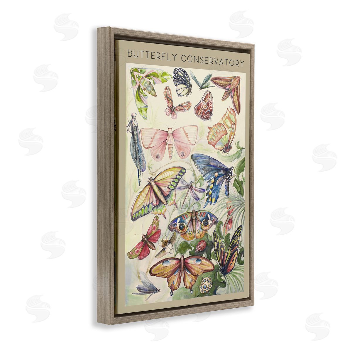 DIANNART Vintage Butterfly Conservatory Canvas Wall Art Print