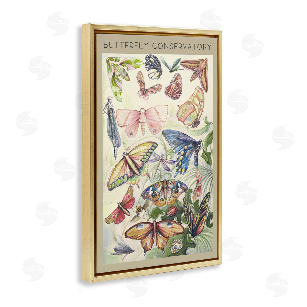 DIANNART Vintage Butterfly Conservatory Canvas Wall Art Print