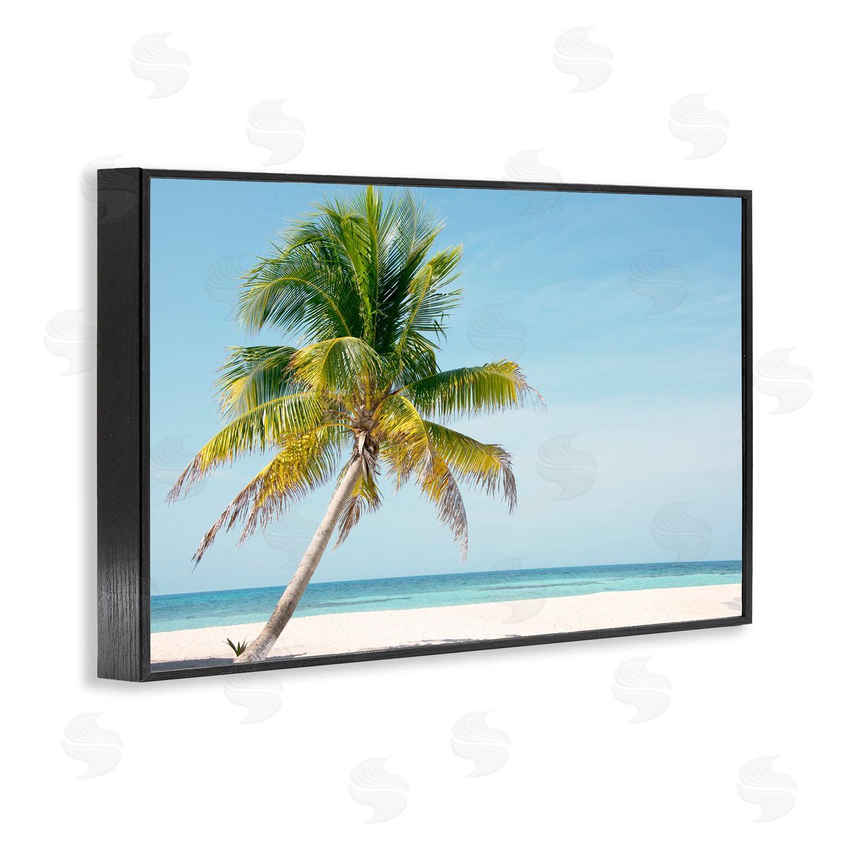 Danita Delimont Barrier Reef Island Palm Canvas Wall Art Print