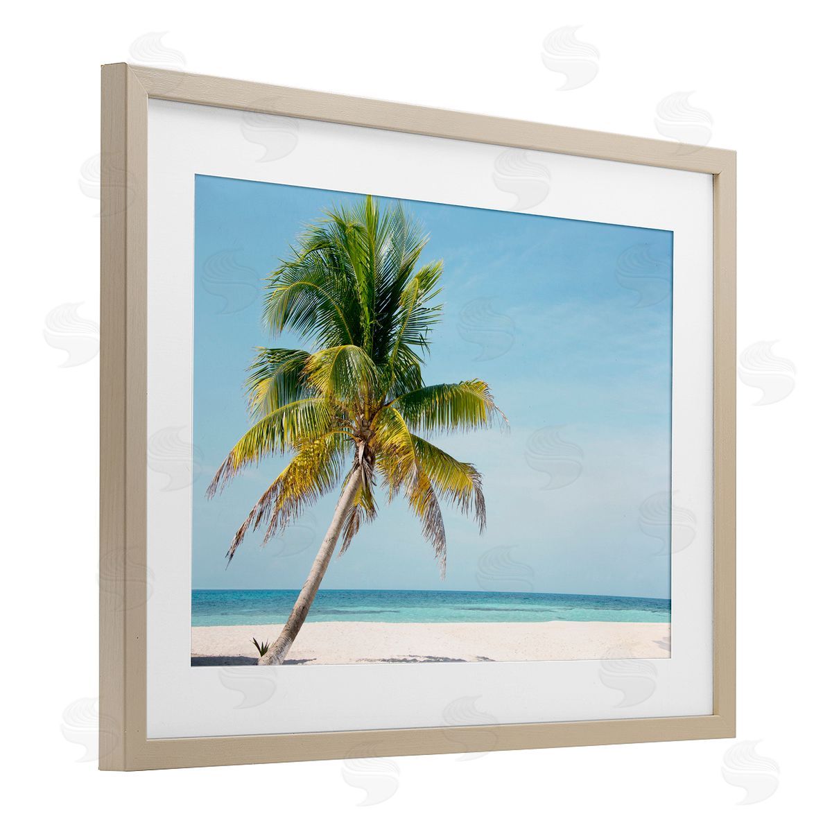 Danita Delimont Barrier Reef Island Palm Canvas Wall Art Print