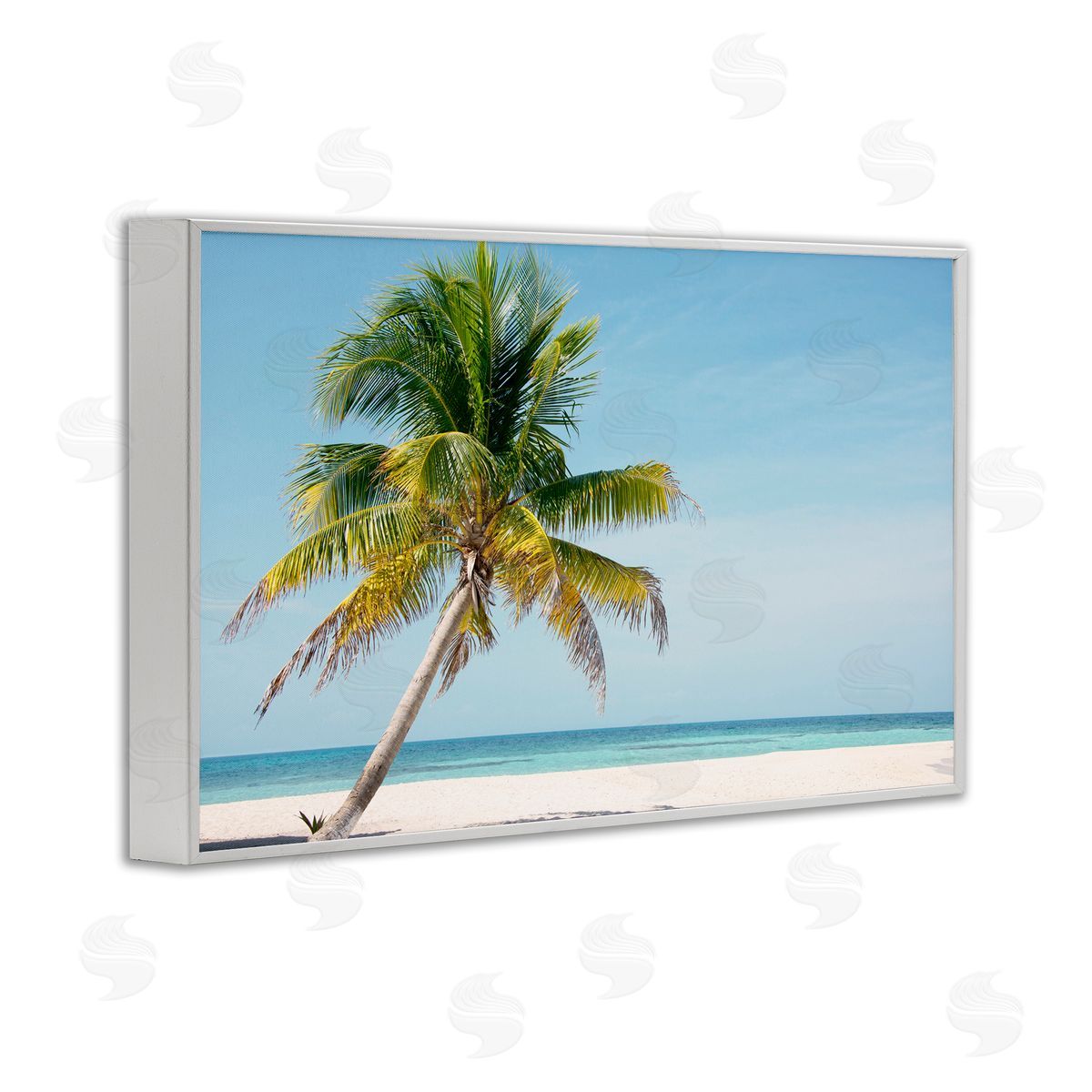 Danita Delimont Barrier Reef Island Palm Canvas Wall Art Print