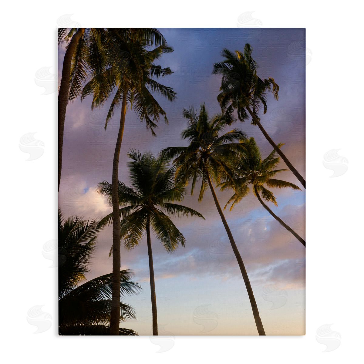 Danita Delimont Bohol Island Palms Canvas Wall Art Print
