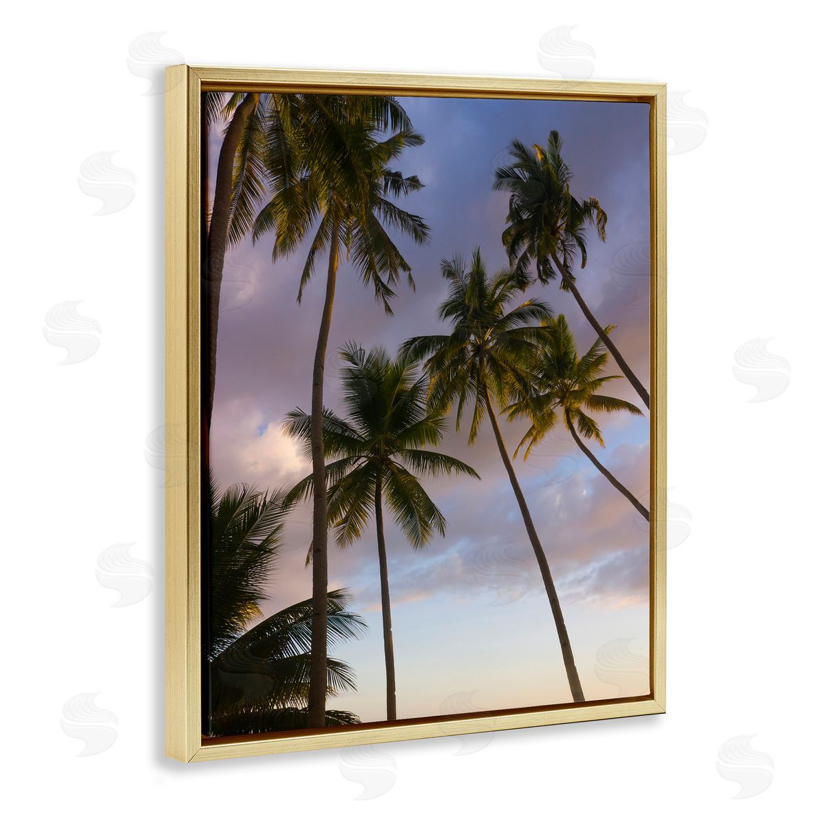 Danita Delimont Bohol Island Palms Canvas Wall Art Print
