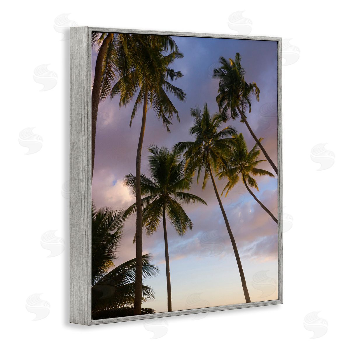 Danita Delimont Bohol Island Palms Canvas Wall Art Print