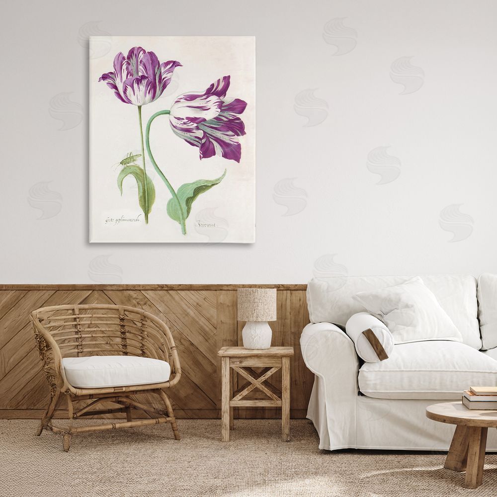 Jacob Marrel Two Tulips Purple Florals Printed Wall Art in Room