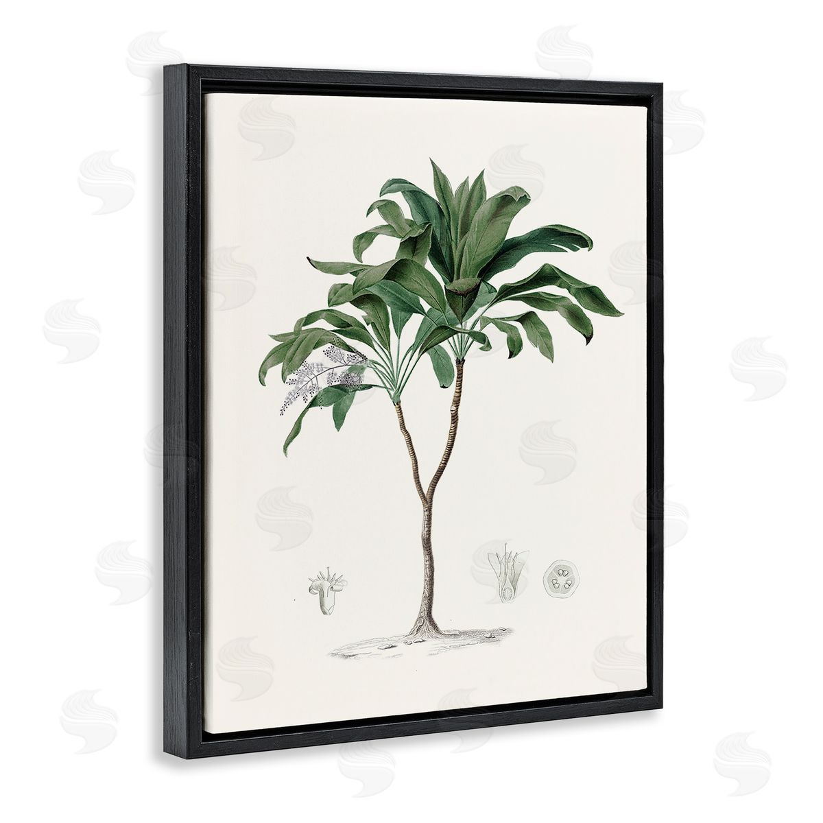 CAD Designs Vintage Palm Study Black Floating Frame Canvas Wall Art Print