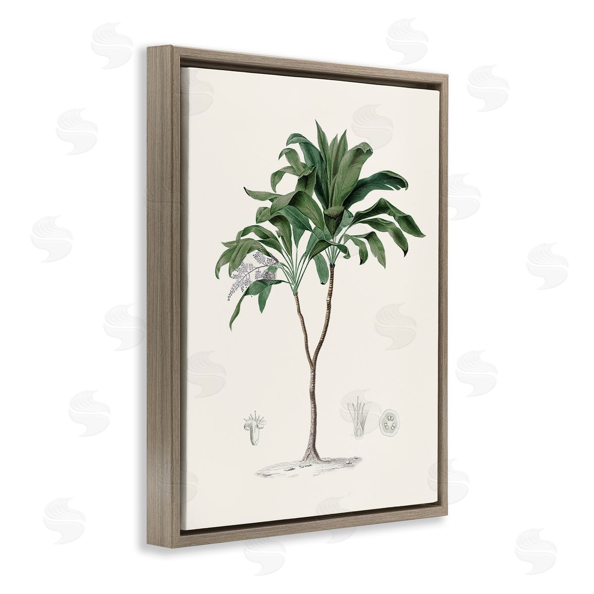 CAD Designs Vintage Palm Study Brown Floating Frame Canvas Art Print