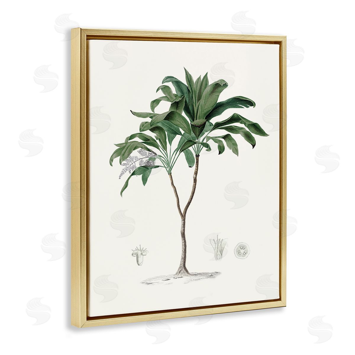 CAD Designs Vintage Palm Study Gold Floating Frame Canvas Art Print