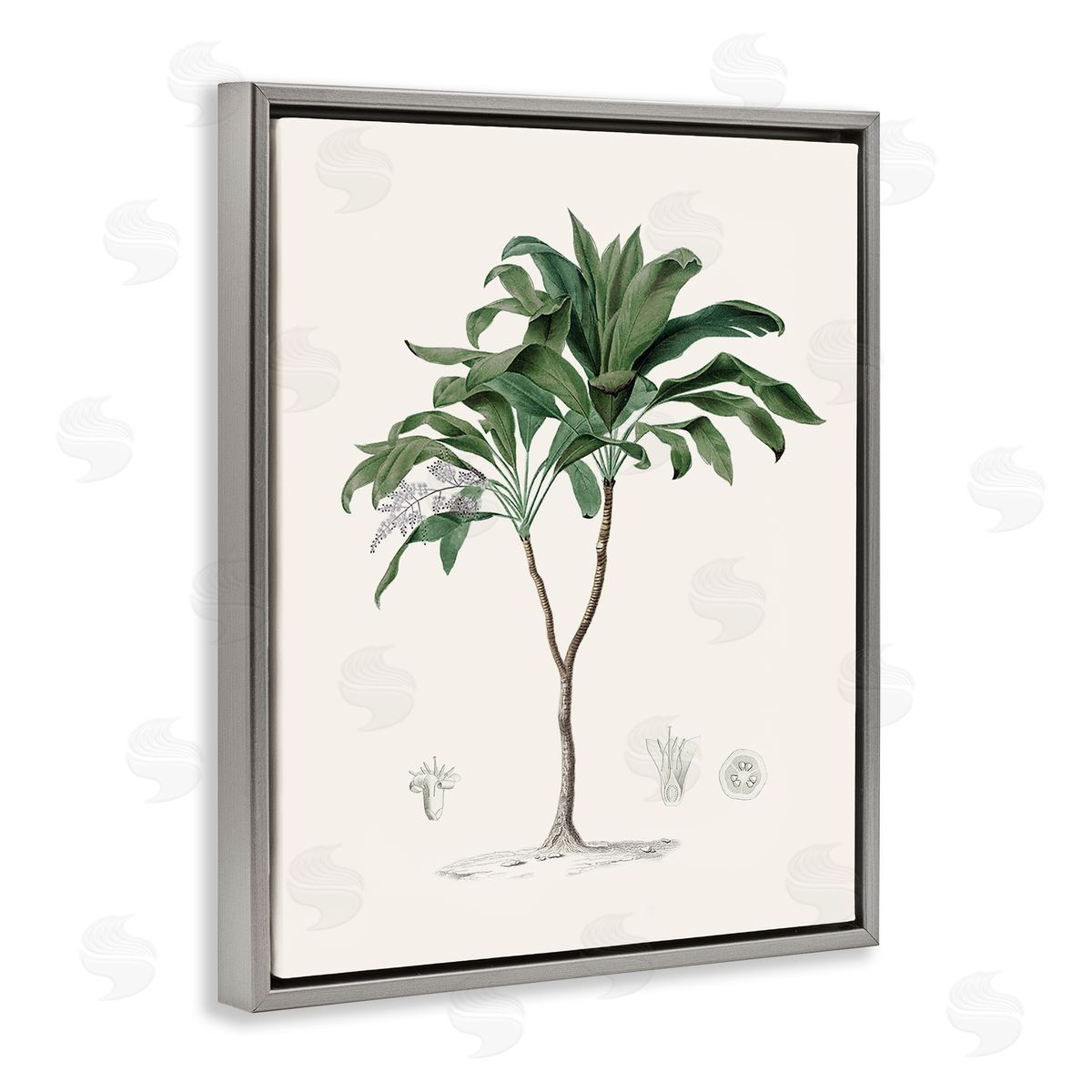 CAD Designs Vintage Palm Study Gray Floating Frame Canvas Art Print