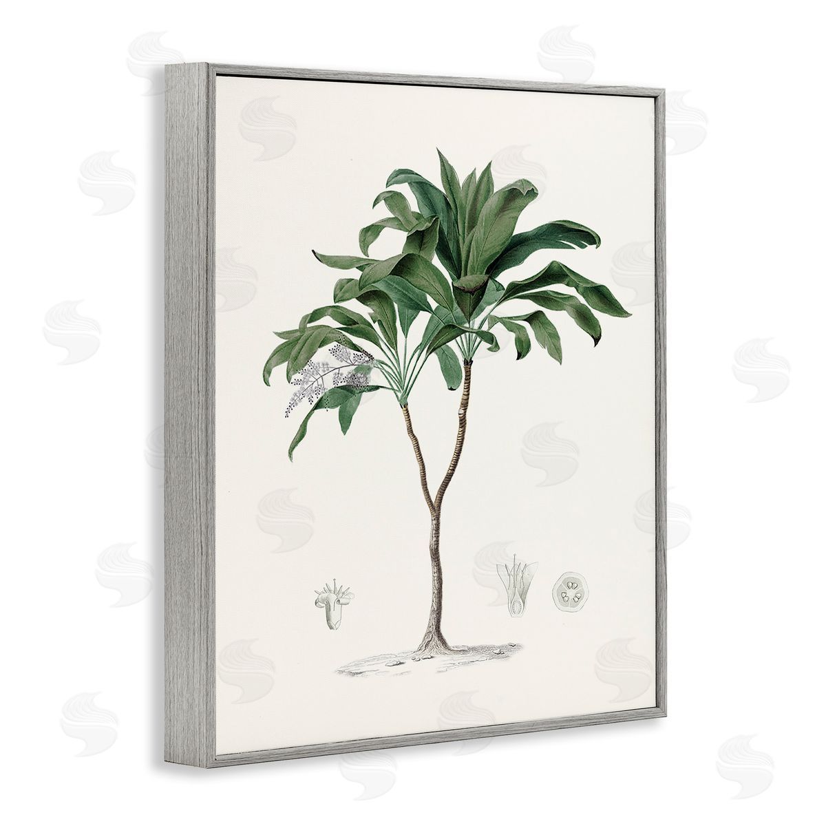 CAD Designs Vintage Palm Study Gray Framed Giclee Art Print