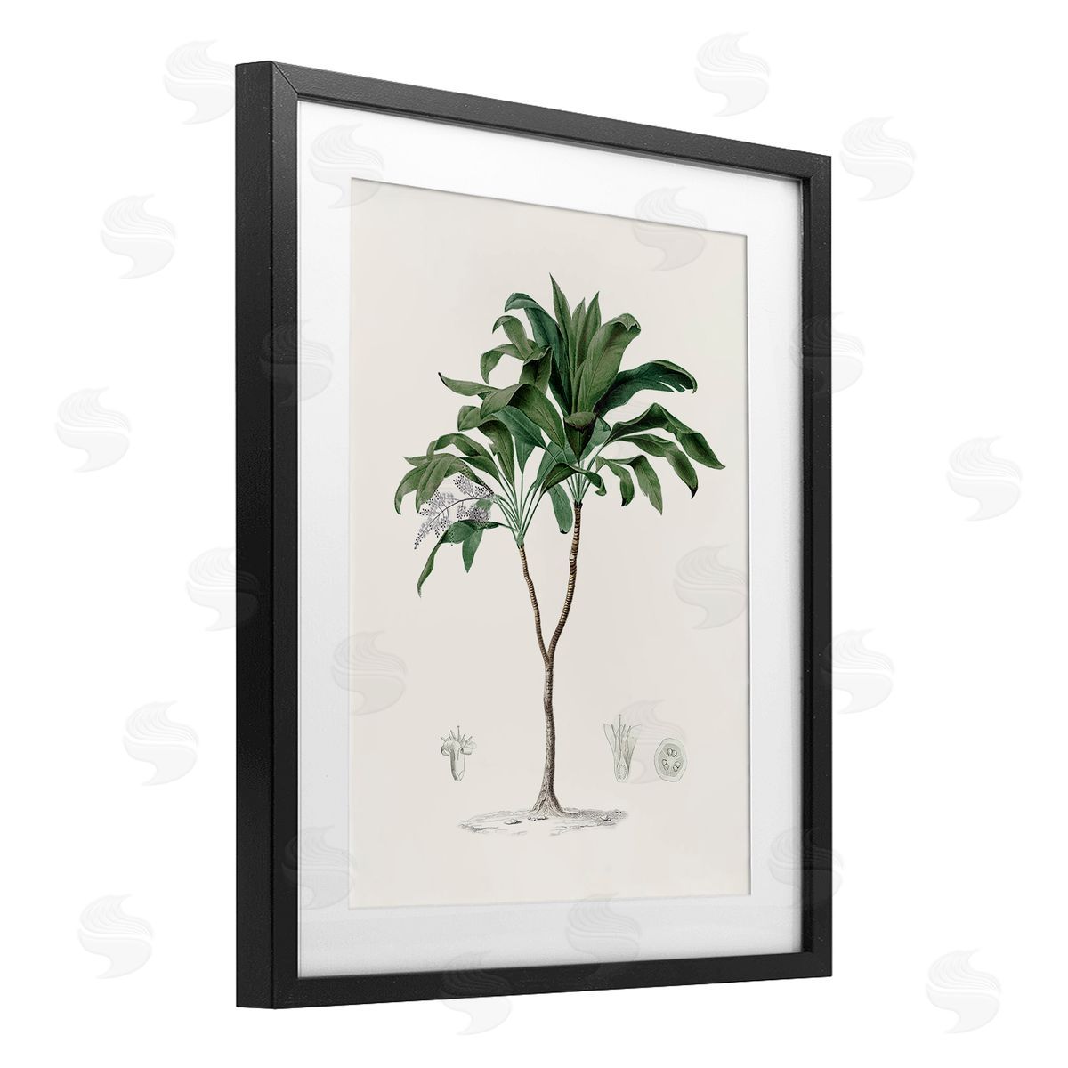 CAD Designs Vintage Palm Study Black Framed Print Under Glass Art