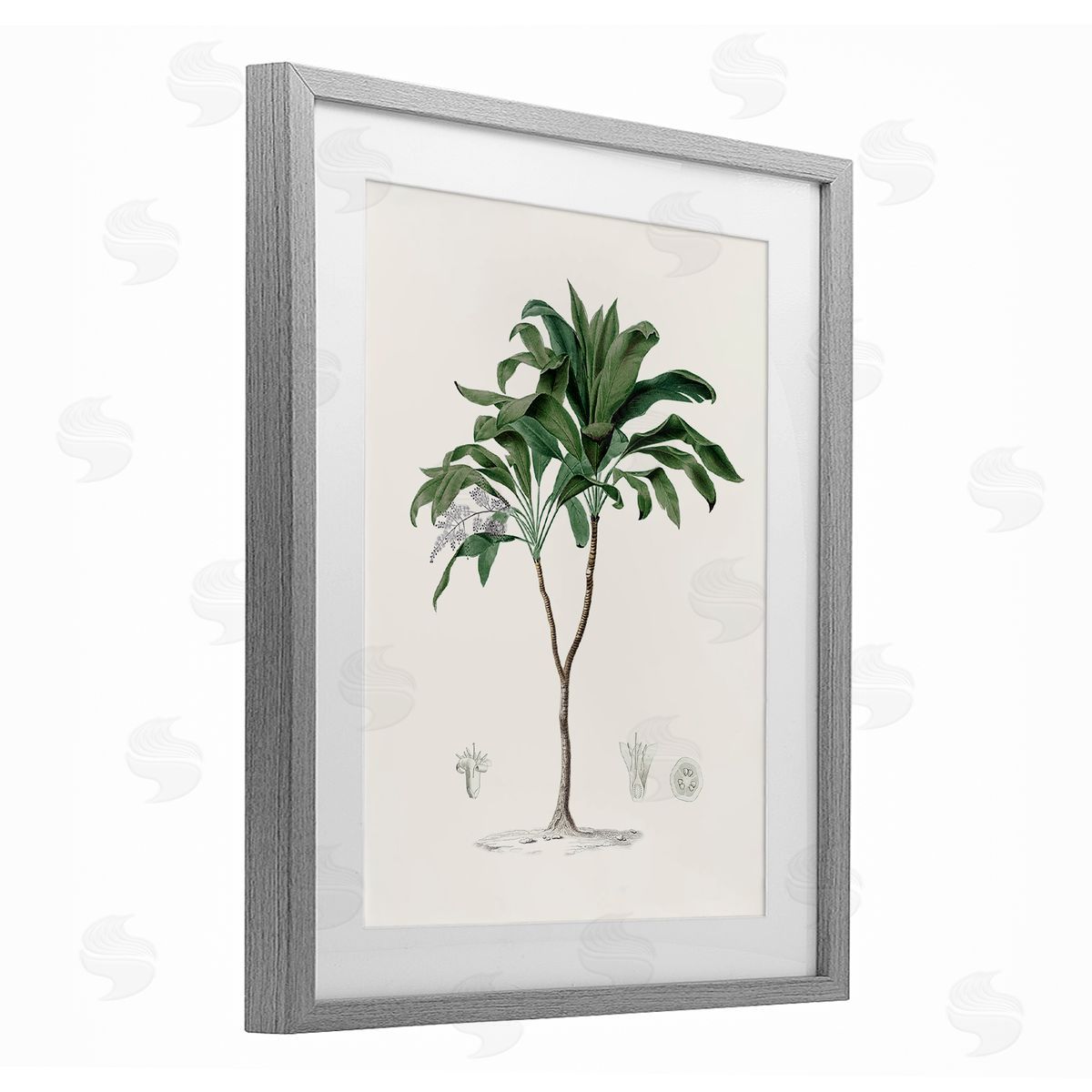 CAD Designs Vintage Palm Study Gray Framed Print Under Glass Art