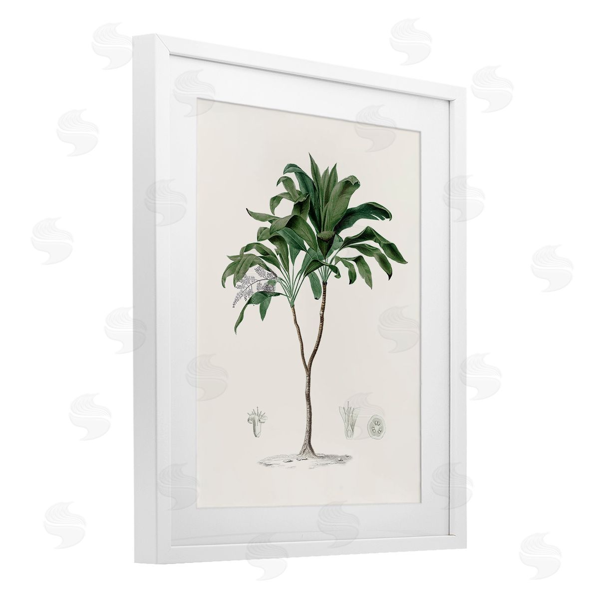 CAD Designs Vintage Palm Study White Framed Print Under Glass Art