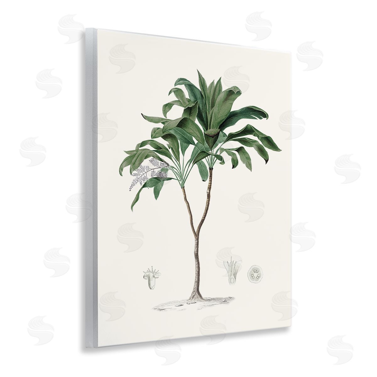 CAD Designs Vintage Palm Study Wall Plaque Art Print