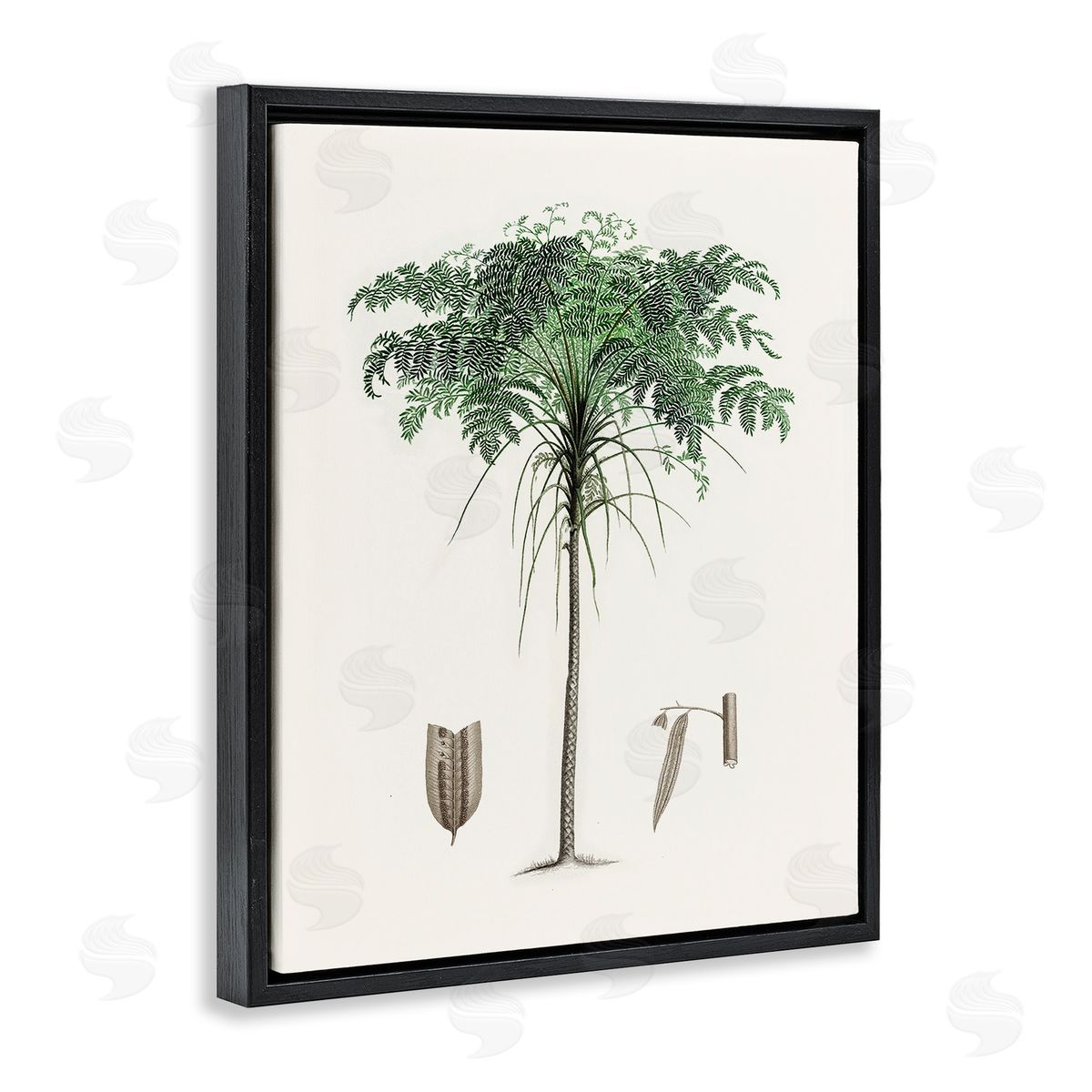 CAD Designs Vintage Palm Tree Study Black Floating Frame Canvas Wall Art Print