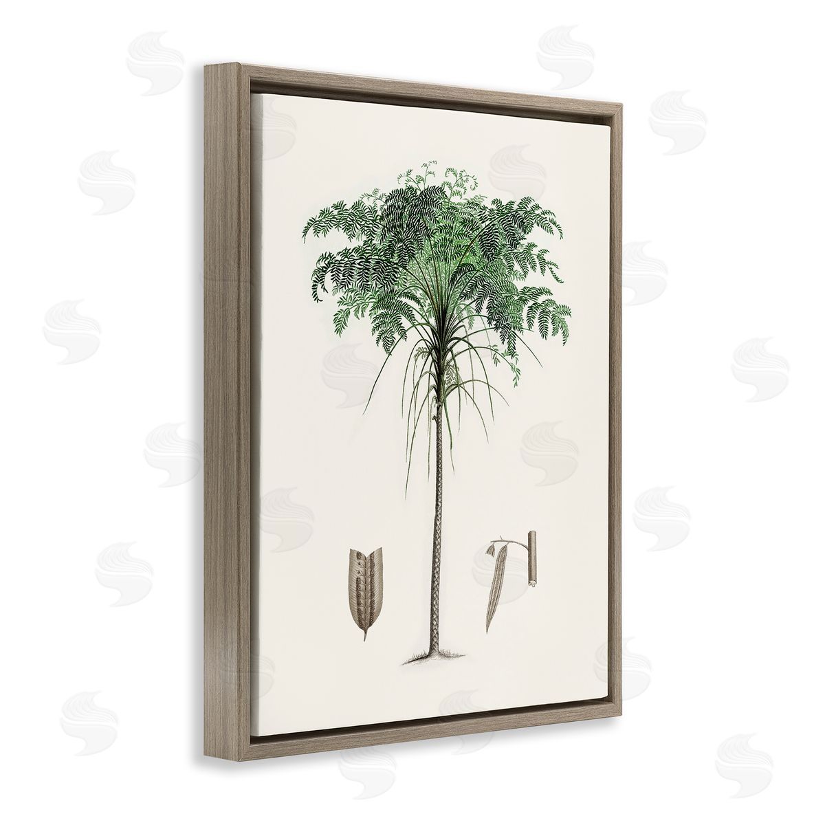 CAD Designs Vintage Palm Tree Study Brown Floating Frame Canvas Art Print