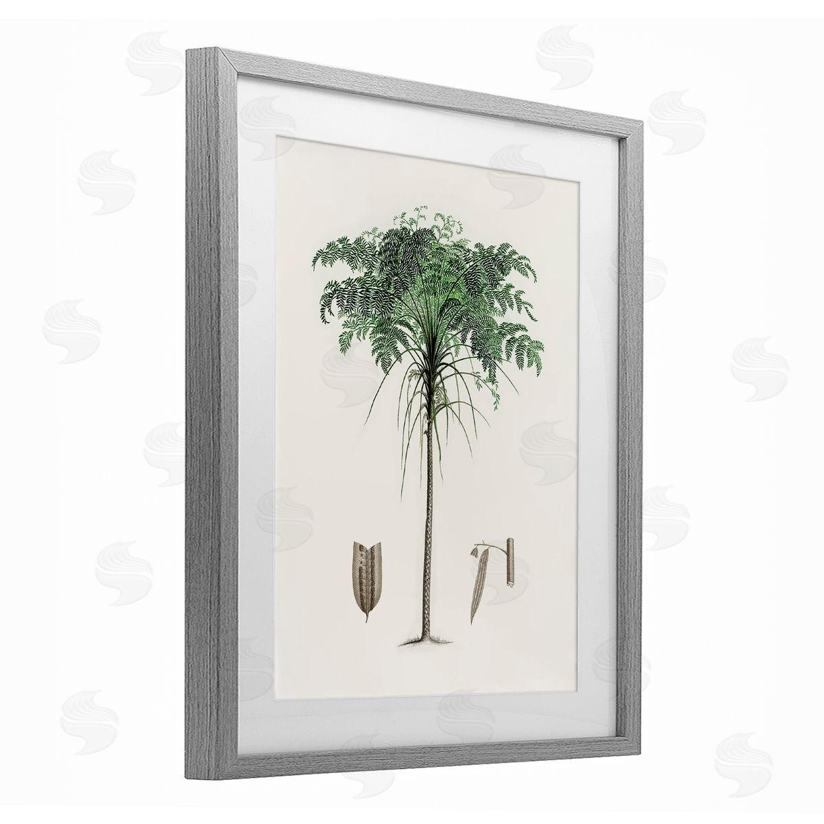 CAD Designs Vintage Palm Tree Study Gray Framed Print Under Glass Art