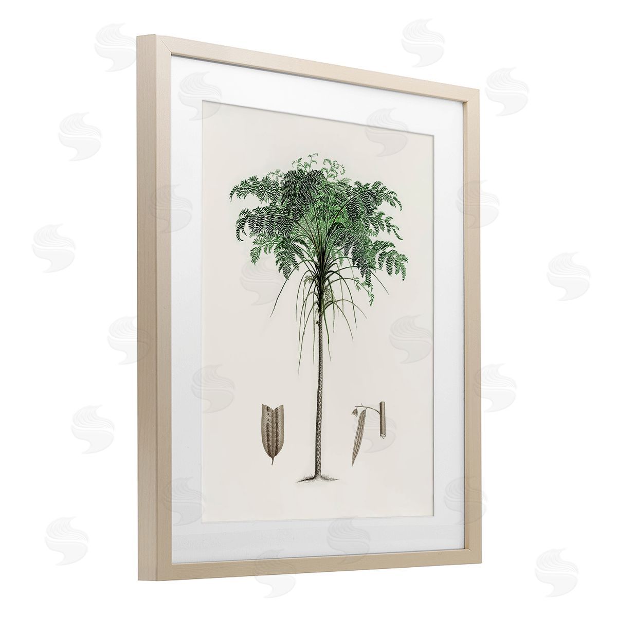 CAD Designs Vintage Palm Tree Study Birch Framed Print Under Glass Art