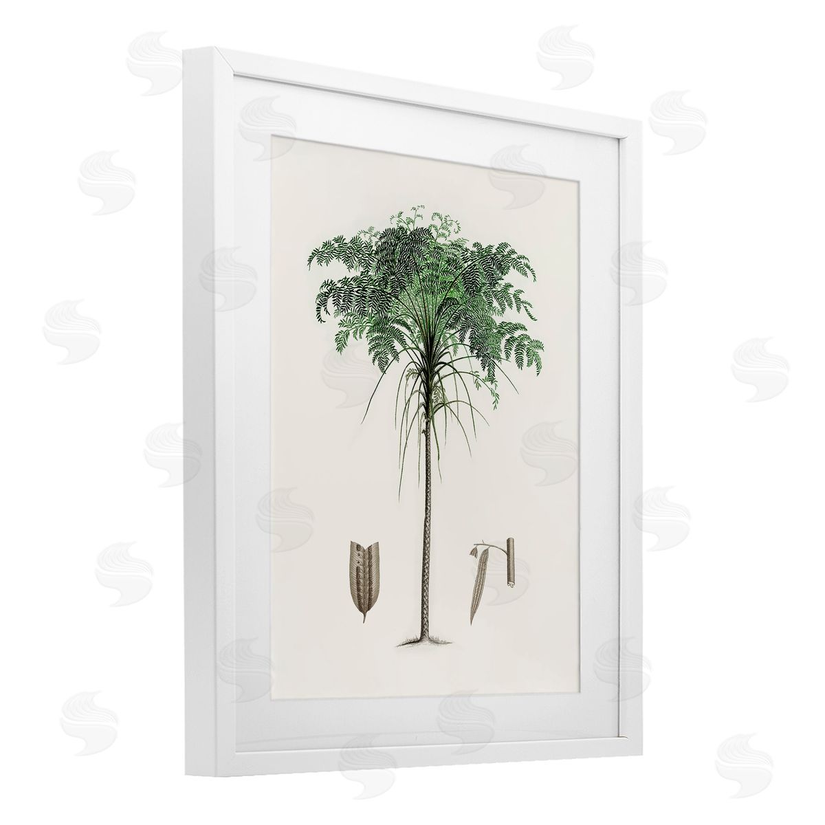 CAD Designs Vintage Palm Tree Study White Framed Print Under Glass Art