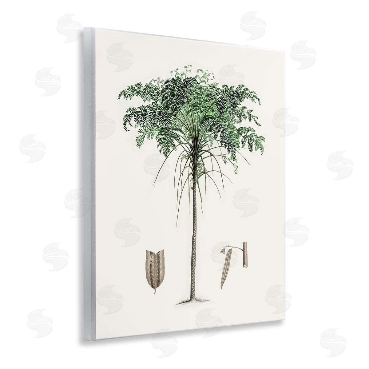 CAD Designs Vintage Palm Tree Study Wall Plaque Art Print