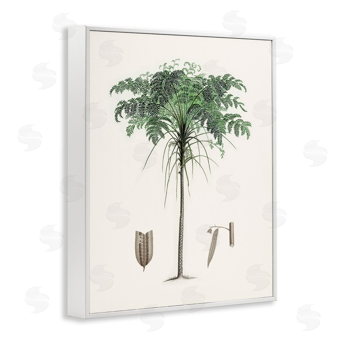 CAD Designs Vintage Palm Tree Study White Frame Giclee Art Print