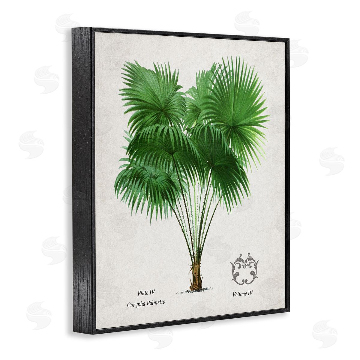 Val Rhodes Vintage Fan Palm Plant Canvas Wall Art Print