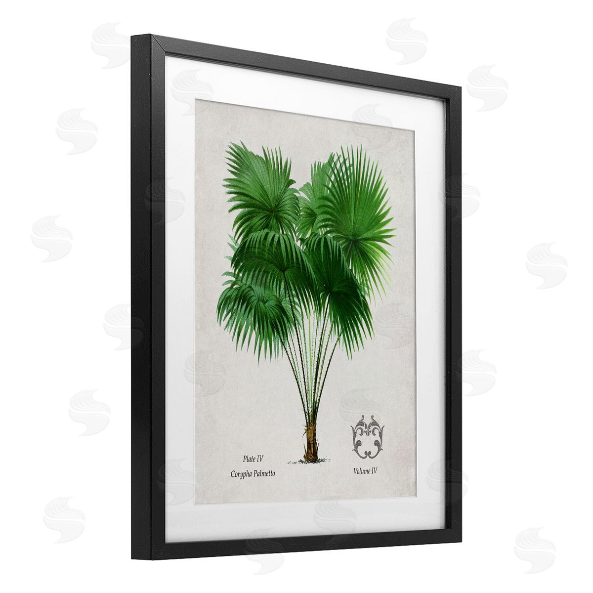 Val Rhodes Vintage Fan Palm Plant Canvas Wall Art Print