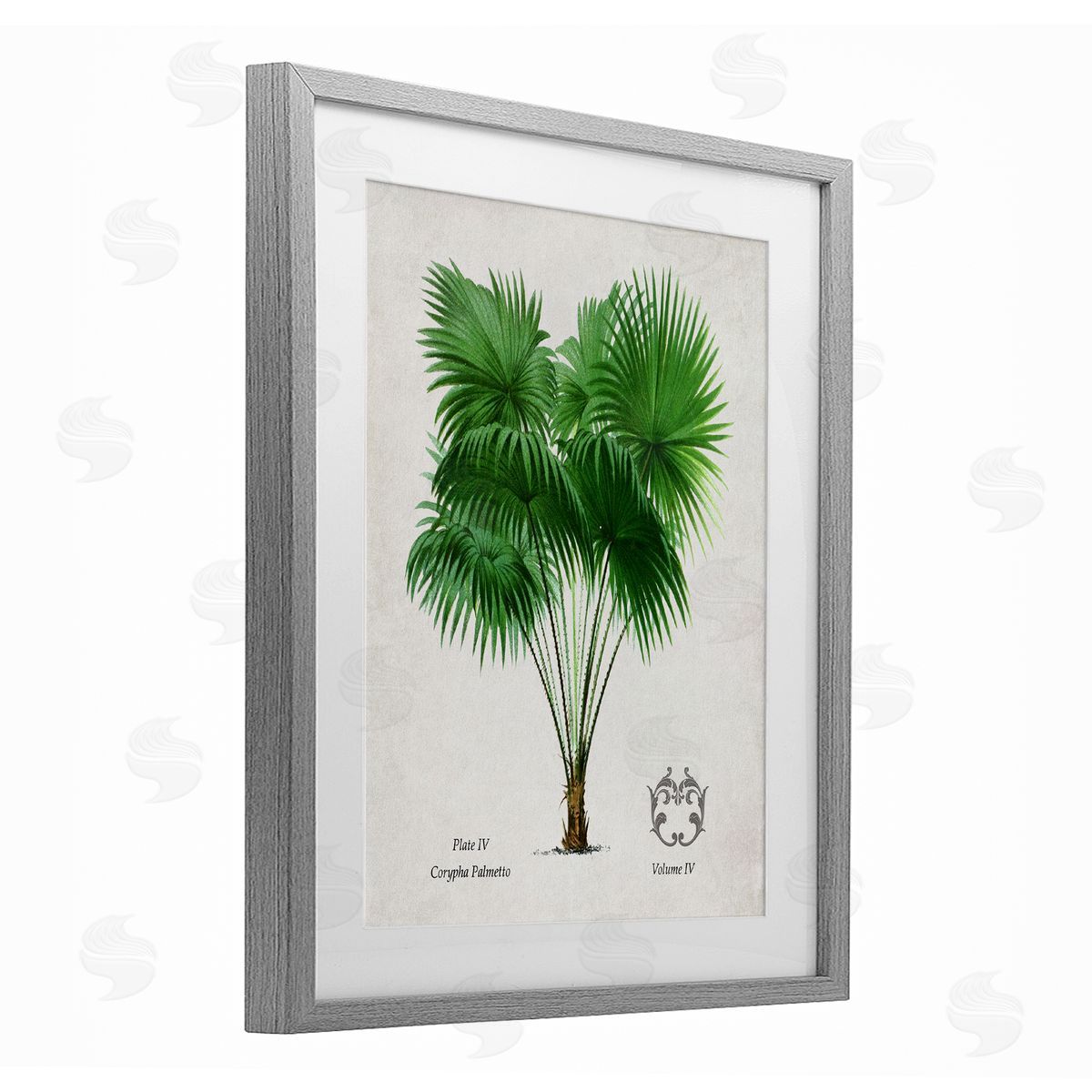Val Rhodes Vintage Fan Palm Plant Canvas Wall Art Print