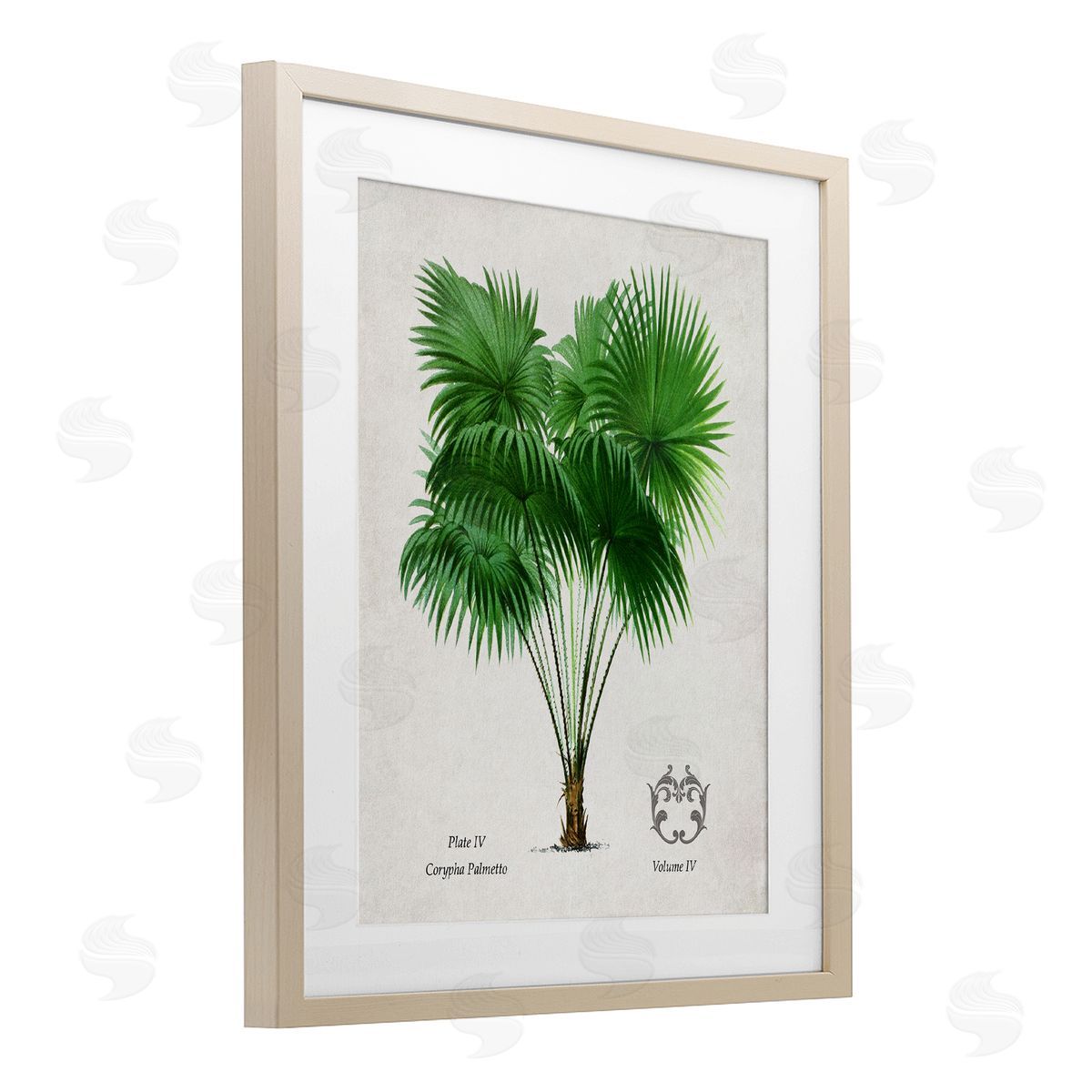Val Rhodes Vintage Fan Palm Plant Canvas Wall Art Print